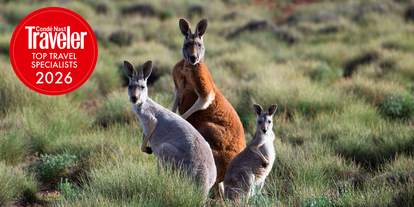 Kangaroo background with Conde Nast Traveler Top Travel Specialist award logo for 2026
