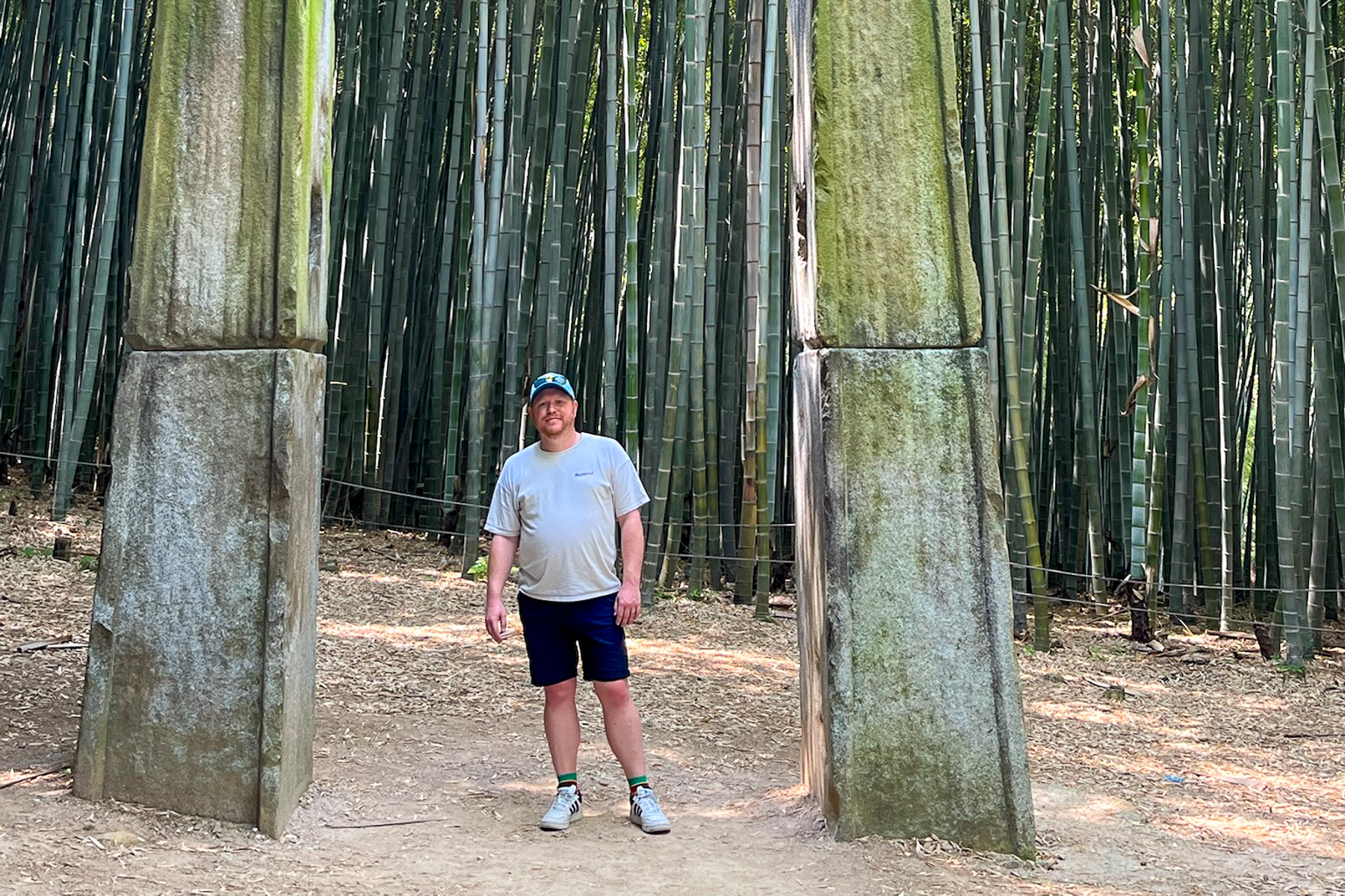 Sam Goold, Red Savannah's Southeast Asia, Japan, and South Korea specialist at South Korea's Ahopsan Forest