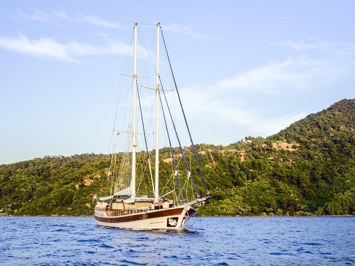 Front view of Wicked Felina in Turkey