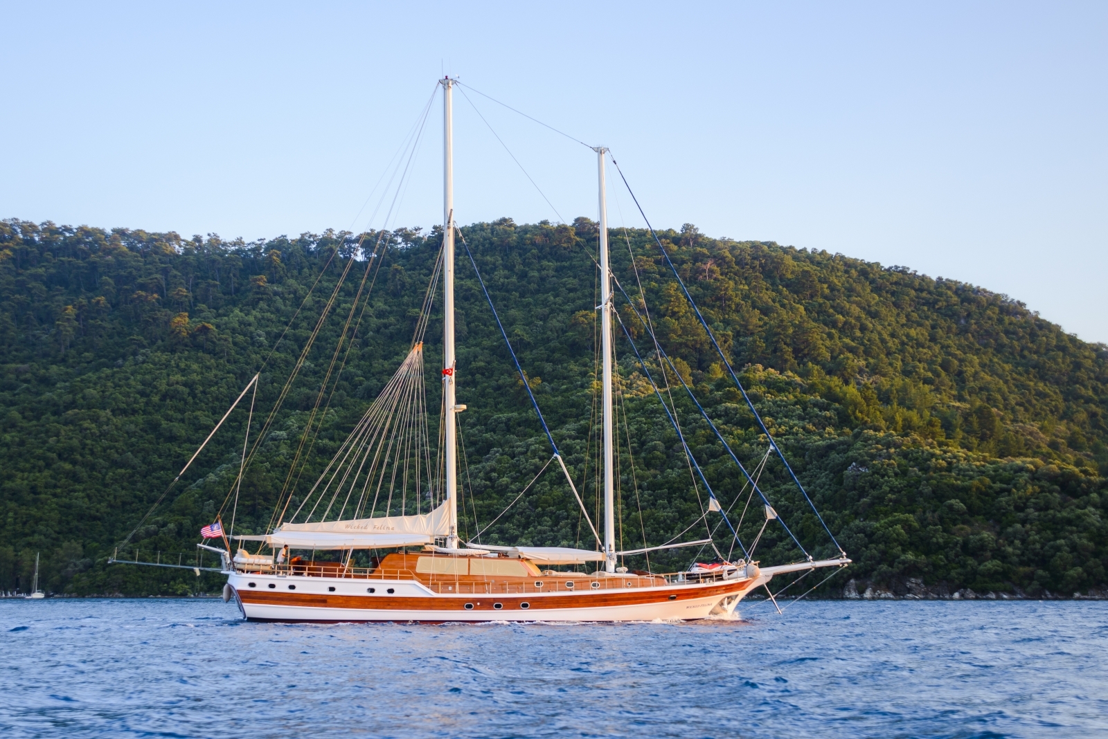 Side view of Wicked Felina in Turkey