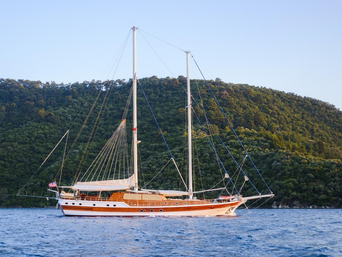 Side view of Wicked Felina in Turkey